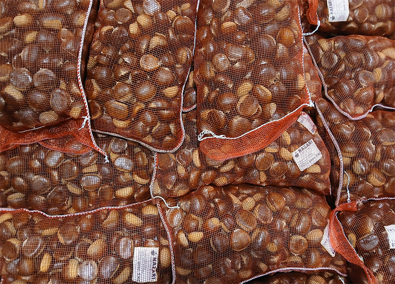 Castagne, sacco da 5 kg - Piemonte - 3,00/4,00 euro chilogrammo